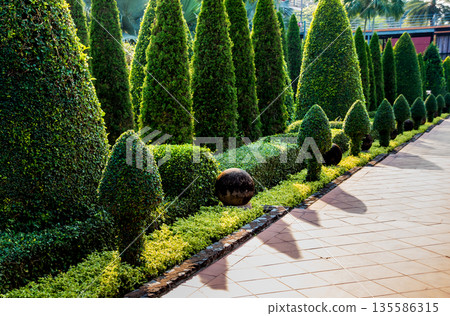 Luxury landscape design of the tropical garden. Luxury landscape design of the tropical garden. 135586315