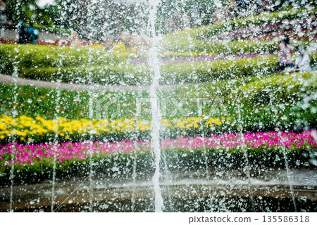 Luxury landscape design of the tropical garden. Beautiful view of tropical landscape. Watering 135586318