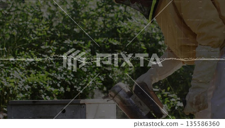 Leaning beekeeper wearing gloves using smoker releasing smoke into hive box in apiary, copy space Leaning beekeeper wearing gloves using smoker releasing smoke into hive box in apiary, copy space 135586360