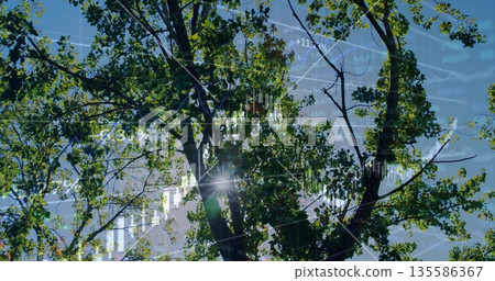 Deciduous tree blending with candlesticks and line graph overlays under blue sky, with sun flare 135586367