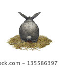 Gray rabbit with a short tail and large ears sits on a pile of hay, viewed from behind. Watercolor illustration of the animal in a realistic style for Easter cards, banners, postcards, and wallpaper. 135586397