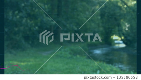 Shallow stream flowing in grassy forest clearing under canopy filtering light, copy space 135586558