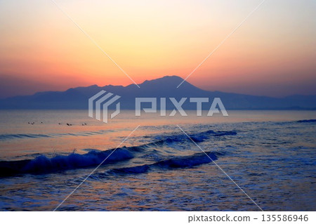 Delivery of the day 135586946