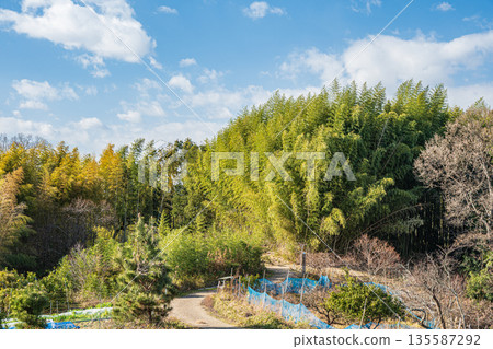 Asuka Village, Nara Prefecture 135587292