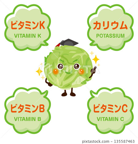 Illustration of lettuce character and ingredients contained in lettuce Illustration of lettuce character and ingredients contained in lettuce 135587463