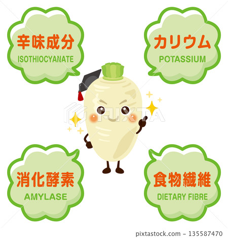 蘿蔔的特徵和成分圖示 蘿蔔的特徵和成分圖示 135587470