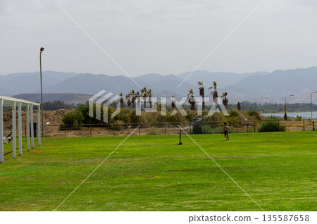 Happy toddler runs through garden sprinkler on a sunny day. Summer fun, water splashes, and childhood joy in motion. 135587658