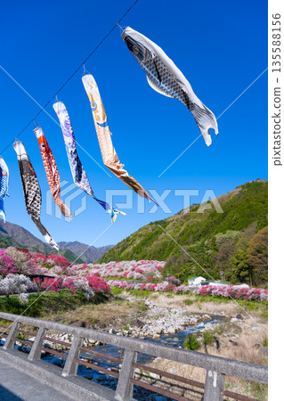 長野縣阿智村花桃之裡 135588156