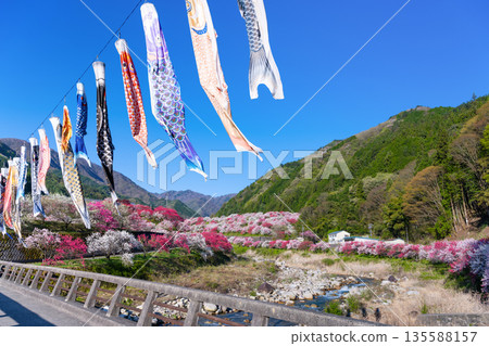 長野縣阿智村花桃之裡 135588157