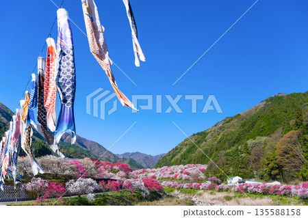 長野縣阿智村花桃之裡 135588158