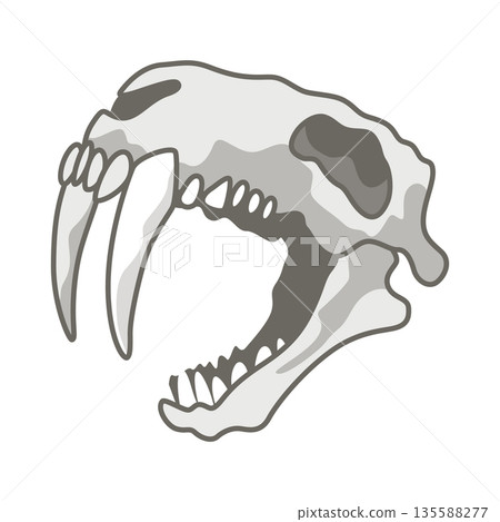 Dinosaurs skeletons parts underground. Fossils, bones of prehistoric reptiles and ammonites 135588277