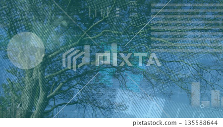 Merging tree trunk and twisting branches with digital data overlays under clear blue sky Merging tree trunk and twisting branches with digital data overlays under clear blue sky 135588644