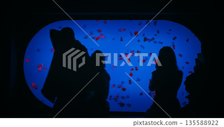 People Examining And Photographing Swimming Jellyfish In Ocean Aquarium. Diverse Underwater World. Mesmerizing Swimming Of Jellyfish. Ocean Animal, Aquatic Life People Examining And Photographing Swimming Jellyfish In Ocean Aquarium. Diverse Underwater World. Mesmerizing Swimming Of Jellyfish. Ocean Animal, Aquatic Life 135588922