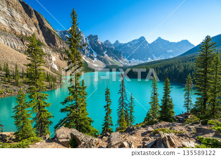 Vibrant turquoise Moraine Lake and the Ten Peaks reflection. Alberta, Canada 135589122