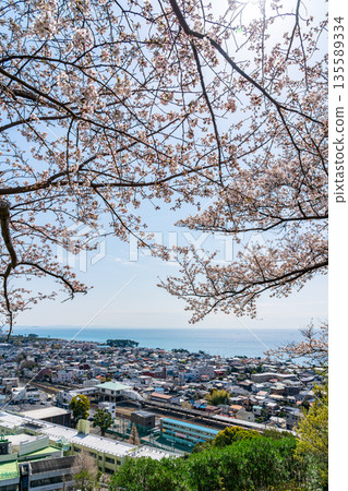 【神奈川縣】從東山公園看到的二宮市街景和盛開的櫻花 【神奈川縣】從東山公園看到的二宮市街景和盛開的櫻花 135589334