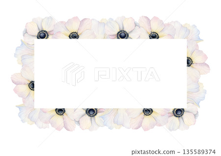 Watercolor white anemones flowers horizontal frame illustration. Hand drawn field poppies banner template with copy space for spring holidays greeting cards and wedding invitations Watercolor white anemones flowers horizontal frame illustration. Hand drawn field poppies banner template with copy space for spring holidays greeting cards and wedding invitations 135589374
