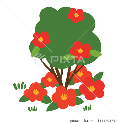 JEJU25. It is a red camellia flower illustration on a white background. 135589375
