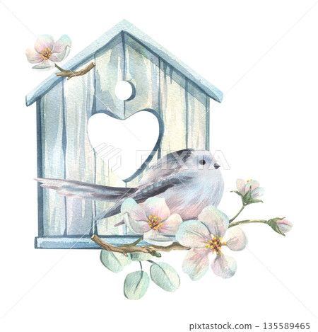 A long-tailed tit perched on a white wooden birdhouse with a heart-shaped window among apple blossoms flowers. Hand-drawn watercolor illustration for spring wedding and holiday designs. A long-tailed tit perched on a white wooden birdhouse with a heart-shaped window among apple blossoms flowers. Hand-drawn watercolor illustration for spring wedding and holiday designs. 135589465
