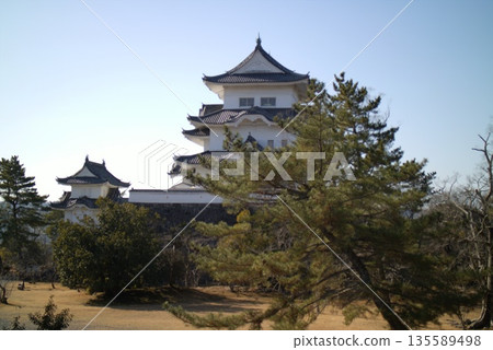 伊賀上野城堡 伊賀上野城堡 135589498