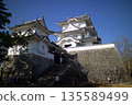 Iga Ueno Castle 135589499
