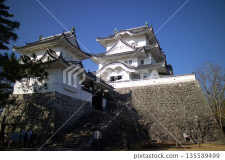 伊賀上野城堡 伊賀上野城堡 135589499