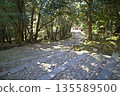 Stone pavement of Iga Ueno Castle 135589500