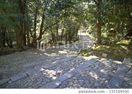 Stone pavement of Iga Ueno Castle Stone pavement of Iga Ueno Castle 135589500
