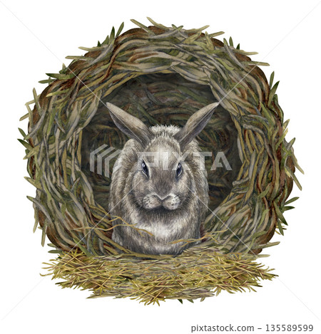 Fluffy gray rabbit in a dark hole on a pile of hay and straw, front view. Watercolor illustration of the animal in a realistic style is perfect for Easter cards, banners, postcards, and wallpaper. Fluffy gray rabbit in a dark hole on a pile of hay and straw, front view. Watercolor illustration of the animal in a realistic style is perfect for Easter cards, banners, postcards, and wallpaper. 135589599