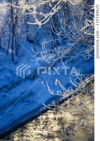 Diamond dust dancing in the morning sun in Rikubetsu Town 135589620