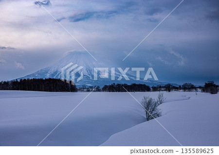Mount Yotei stands in the silence of winter. Ezo Fuji seen from Kutchan 135589625