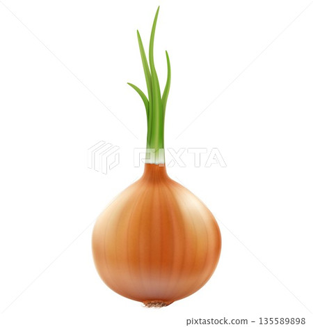 Onion, isolated on white background. Realistic 3D Vector illustration 135589898