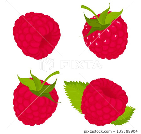 Raspberry, isolated on white bacground. Raspberry vector set, whole and slice of raspberry with green tail and leaf. Flat design Raspberry, isolated on white bacground. Raspberry vector set, whole and slice of raspberry with green tail and leaf. Flat design 135589904