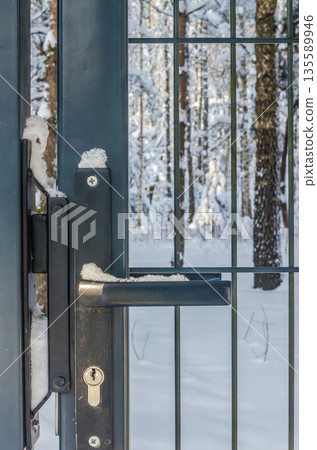 Gate lock covered in snow with a winter forest view. Gate lock covered in snow with a winter forest view. 135589946