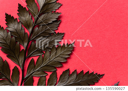 Leaves on a red background Leaves on a red background 135590027