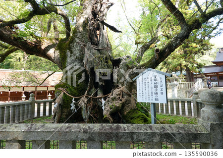 Oyamisami Shrine Oyamisami Shrine 135590036