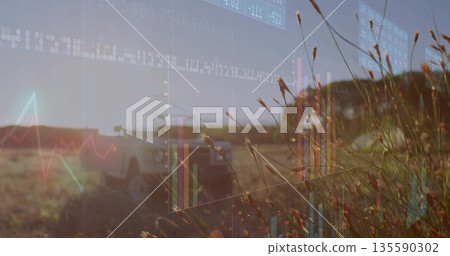 Displaying tall dried grass seed heads in rural field with pickup truck overlaid charts, copy space 135590302