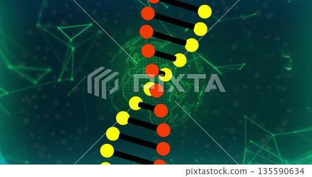 Showing stylized DNA helix floating in digital network background, with green globe and nodes 135590634