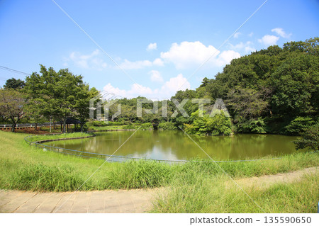 Japanese Pond Japanese Pond 135590650