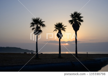Sunrise and palm tree silhouette at Kiwara Beach in Ube City 135590798