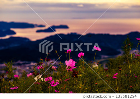Cosmos Park, Sky and Sea 135591254