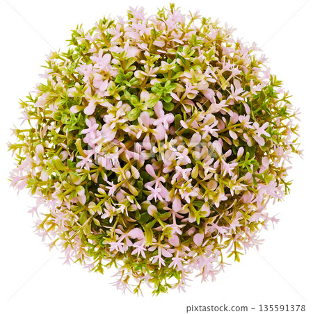 淡粉紅色圓形人造植物造型球花園裝飾鏤空 135591378
