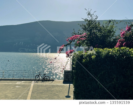 peaceful lakeside scene, serene waterfront pathway adorned with vibrant plants and reflections peaceful lakeside scene, serene waterfront pathway adorned with vibrant plants and reflections 135591539