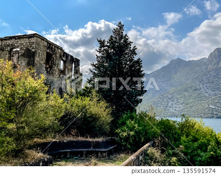 Ancient Ruins above Kotor Bay 135591574