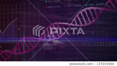 Magenta DNA helix stretching in virtual scene, showing binary code, grid chart, scan line, % ticker 135591660