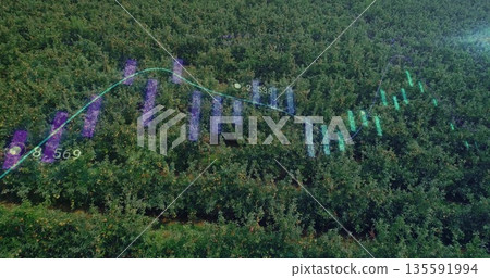 Showing aerial orchard with tree rows featuring faint bar charts and line graph with numeric labels 135591994