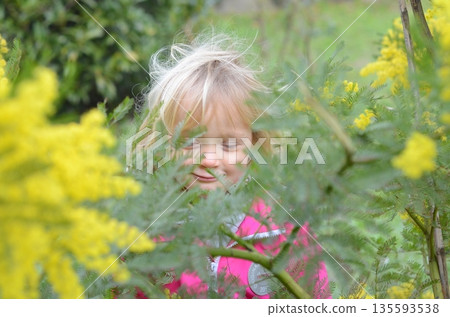 Child Enjoying Nature Amidst Yellow Flowers Child Enjoying Nature Amidst Yellow Flowers 135593538