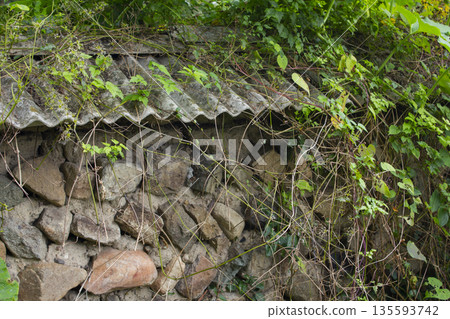 It's a stone wall with vines. It's a stone wall with vines. 135593742