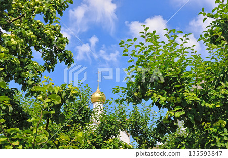 Golden dome of the church, apple trees with apples 135593847
