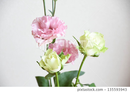 Roses and Turkish bellflowers Roses and Turkish bellflowers 135593943