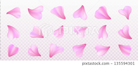 Pink flower petals set on transparent background Pink flower petals set on transparent background 135594301